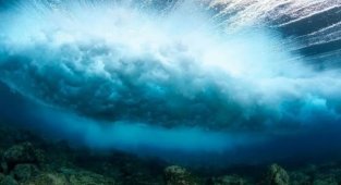 Интересные фотографии с удивительными фактами (16 фото)