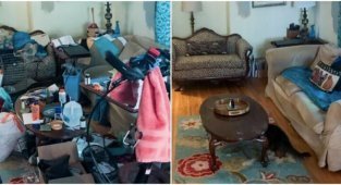 18 вдохновляющих кадров до и после, которые воодушевят на генеральную уборку в квартире (19 фото)