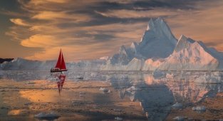 Возле айсберга (20 фото)