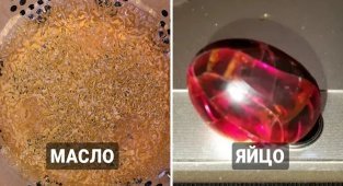 Что происходит с едой, когда мы забываем о ней на долгое время (13 фото)