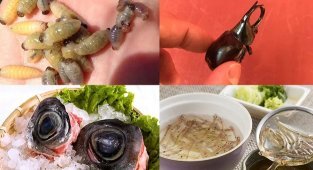 Самые ужасные блюда Японии: когда лучше есть с закрытыми глазами (16 фото)