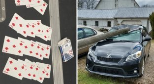 Examples of very offensive bad luck (17 photos)