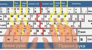 Легкий способ научиться слепому десятипальцевому набору (2 фото)