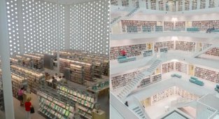 Умопомрачительные интерьеры библиотек (13 фото)