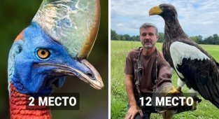 17 крупнейших птиц планеты, которые не стесняются демонстрировать мощь и силу (18 фото)