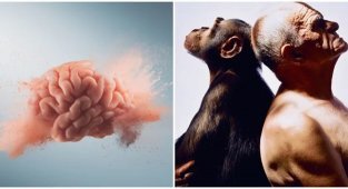 Чи існують інстинкти в людини? (6 фото)