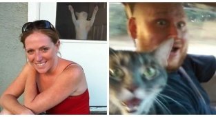 17 угарных фотобомб, которые устроили вездесущие котейки (18 фото)