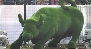 Столичный детсад украсили зеленым быком за миллион рублей (8 фото)
