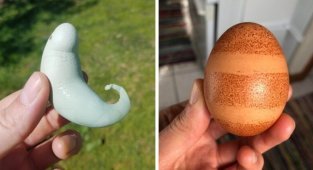 20 странных яиц, которые наверняка удивили даже тех, кто их снес (21 фото)