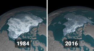 Снимки со спутников НАСА, которые показывают как изменилась поверхность Земли (16 фото)