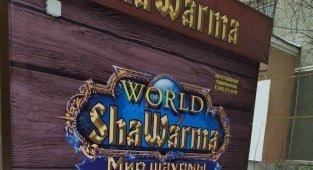 Такие вывески могли появиться только в России (19 фото)