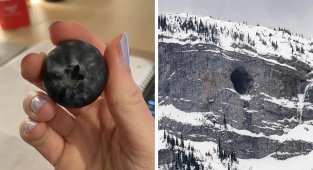 30+ сюрпризов от матушки Природы (33 фото)