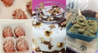 20 тортиков и пирожных, которые почему-то не вызывают желания их отведать (21 фото + 1 видео)