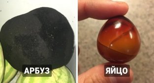 Какие сюрпризы обнаружили люди, оставив еду и вещи без присмотра (17 фото)