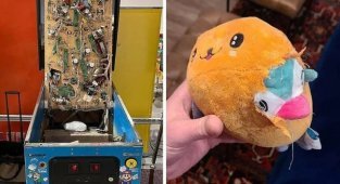 Люди заглянули внутрь привычных вещей и увидели там нечто необычное (15 фото)