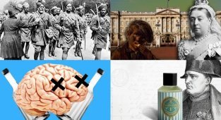 Первый «сталкер», дальтоник Цукерберг и другие интересные факты обо всём на свете (10 фото)