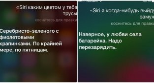 Siri жжет: общение с голосовым помощником (18 фото)