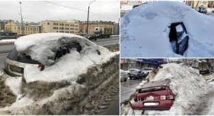 Русская весна: появляются первые городские подснежники (19 фото)