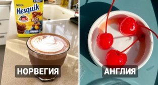 13 обычных продуктов питания, которые по разным причинам были запрещены в некоторых странах мира (14 фото)