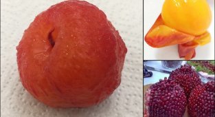13 "откровенных фото" фруктов и ягод, которые обычно никто не чистит (14 фото)