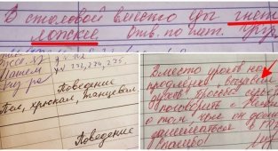 15 убойных замечаний в дневниках, после которых родителей вызывают в школу (16 фото)