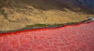 10 фактов об очень опасном озере Натрон в Танзании (4 фото)