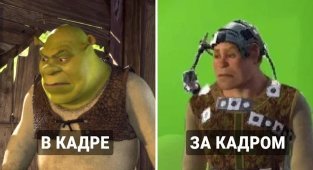 14 шуточных и абсурдных лжефактов о кино, которыми ради смеха делятся пользователи сети (15 фото)