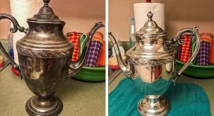 Чистота спасет мир (20 фото)