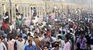 Самый  густонаселённый регион в мире. Почему на севере Индии живёт  700 млн человек? Что их кормит? (6 фото)