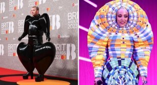 16 strange celebrity outfits (17 photos)