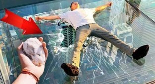 Самые глупые исследования британских ученых. ТОП 10. Интересные факты (12 фото + 1 видео)