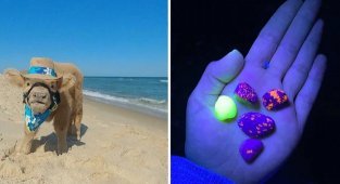 35 неожиданных, классных и безумных штук, найденных на пляже (36 фото)