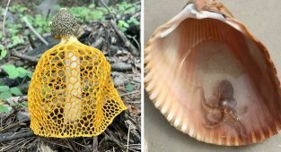 35 неожиданных находок, которыми поделились пользователи сети (36 фото)