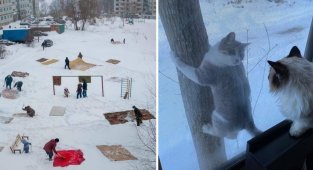 А из нашего окна... (19 фото)