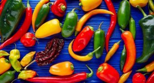 Шкала жгучести Сковилла: что это такое, и что в ней есть? (10 фото)