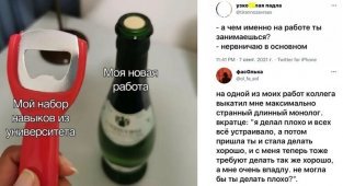 Однажды на работе: порция убийственных ситуаций и обстоятельств (19 фото)