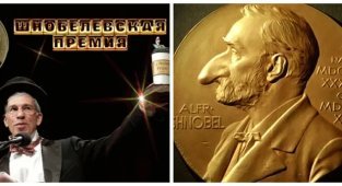 Запоры  у скорпионов, заплывы утят и ритуальные клизмы:  за что ученые получили Шнобелевскую премию-2022 (10 фото)