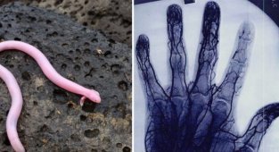 15 снимков, на которые стоит взглянуть даже умудренным опытом (16 фото)