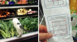 Когда идёшь в магазин, можно заметить массу интересного (18 фото)