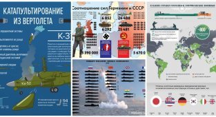 Аты-баты, шли солдаты: 20 увлекательных и познавательных инфографик из армейской жизни (23 фото)