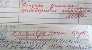 Замечания в школьных дневниках, которые ошарашили родителей (17 фото)