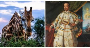 25 правдивых фактов, которые кажутся полной выдумкой (26 фото)