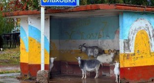 Что происходит в наших городах? Нечто странное (40 фото)