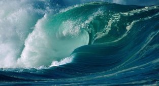 Интересные факты о цунами (9 фото)