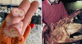 17 захоплюючих зображень дивовижних знахідок (18 фото)