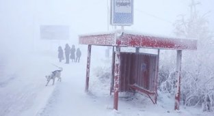 Почему в Южном полушарии нет такой же суровой зимы, как в странах Северного полушария? (4 фото)