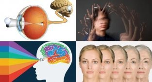 15 секунд задержки: как мозг спасает человека от галлюцинаций и хаоса (6 фото + 1 видео)