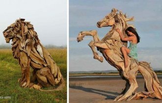 Мастер создает захватывающие дух скульптуры из найденных на пляже сухих деревьев (25 фото)