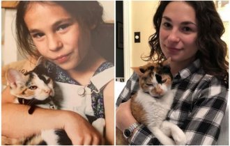 До и после: 35 трогательных фото о том, как быстро растут наши кошки (36 фото)