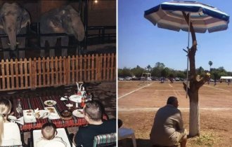 «Люди капіталізму»: 35 фото, які дивляться на капіталізм із іронією (36 фото)